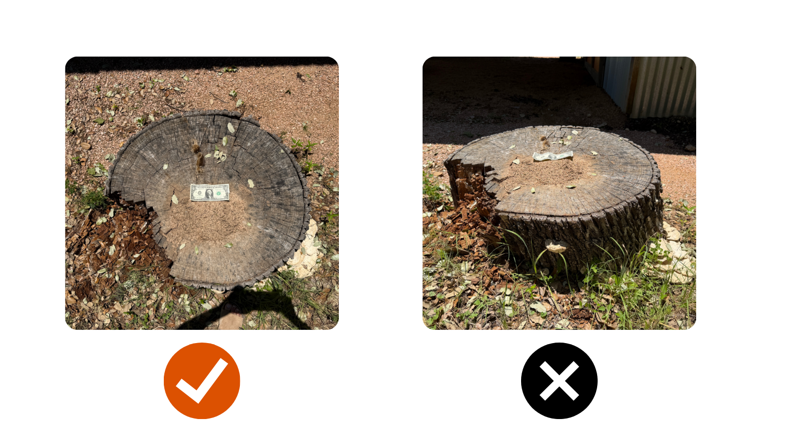 Good vs bad stump photo example